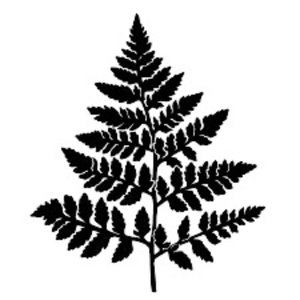 Meet your Posher, Azeria